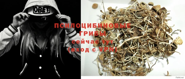 трава Балахна