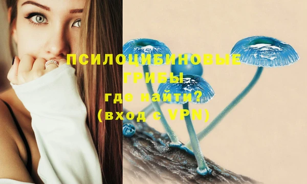 трава Балахна